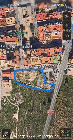 ALQUILER-VENTA TERRENO RUSTICO - ALICANTE