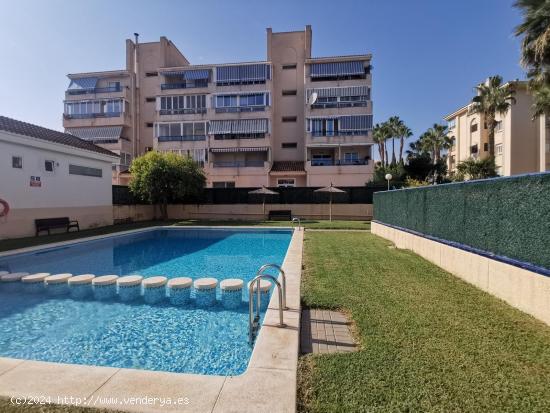  🌟 APARTAMENTO EN ALBIR 🌟 - ALICANTE 