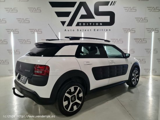 Citroën C4 Cactus PureTech 110cv S&S Shine 5p - Palafrugell