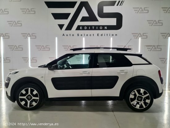 Citroën C4 Cactus PureTech 110cv S&S Shine 5p - Palafrugell