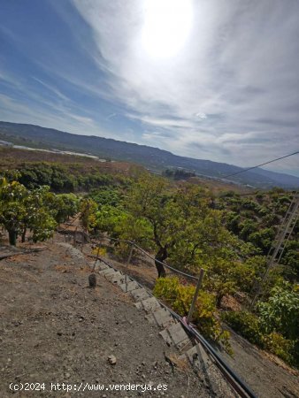 Finca en venta en Vélez-Málaga (Málaga)