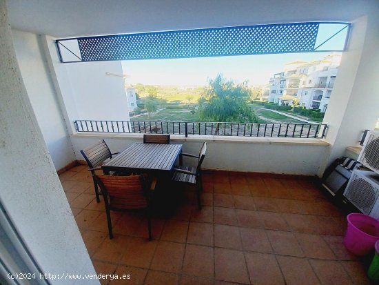 Apartamento en venta en Murcia (Murcia)