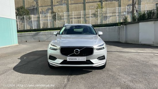 Volvo XC-60 todoterreno 2.0 B4 D MOMENTUM PRO AUTO 5P - Hernani