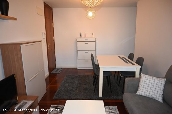 Apartamento en alquiler en Santander (Cantabria)