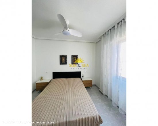 Apartamento en alquiler en Torrevieja (Alicante)