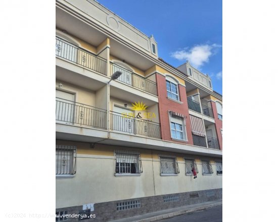 Apartamento en alquiler en Dolores (Alicante)