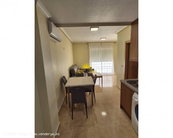 Apartamento en alquiler en Dolores (Alicante)