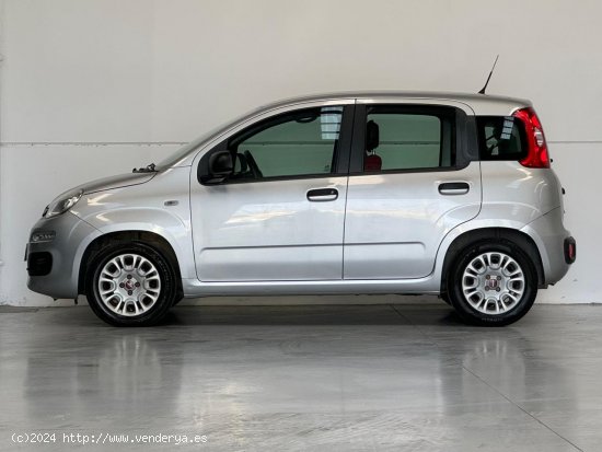 Fiat Panda 1.2 Lounge 51kW 69CV 5p. - Vélez