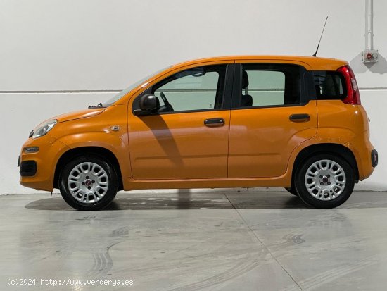 Fiat Panda 1.2 Pop 51kW 69CV 5p. - Vélez