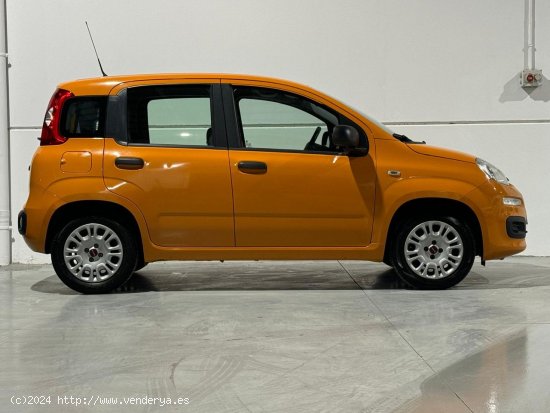 Fiat Panda 1.2 Pop 51kW 69CV 5p. - Vélez