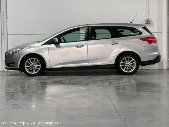 Ford Focus 1.5 TDCi E6 88kW Business Sportbreak 5p. - Vélez