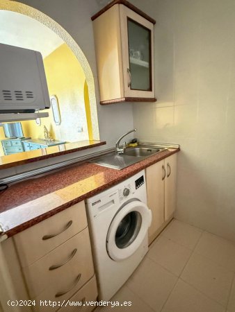 Apartamento en alquiler en Torrevieja (Alicante)