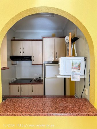 Apartamento en alquiler en Torrevieja (Alicante)