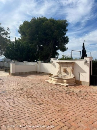  Villa en venta en Almoradí (Alicante) 