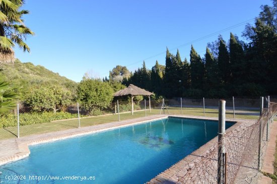 Finca en venta en Jimena de la Frontera (Cádiz)