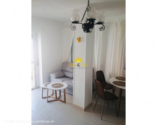 Apartamento en alquiler en Torrevieja (Alicante)