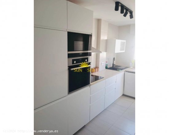 Apartamento en alquiler en Torrevieja (Alicante)