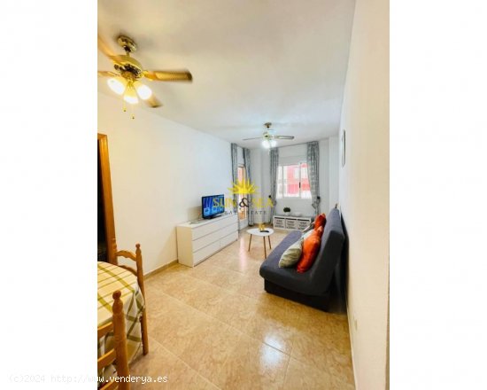 Apartamento en alquiler en Torrevieja (Alicante)