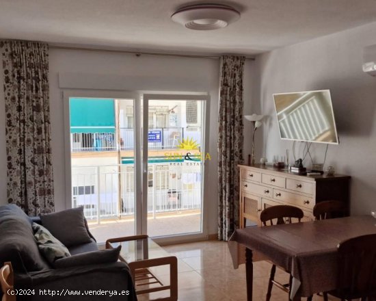 Apartamento en alquiler en Torrevieja (Alicante)