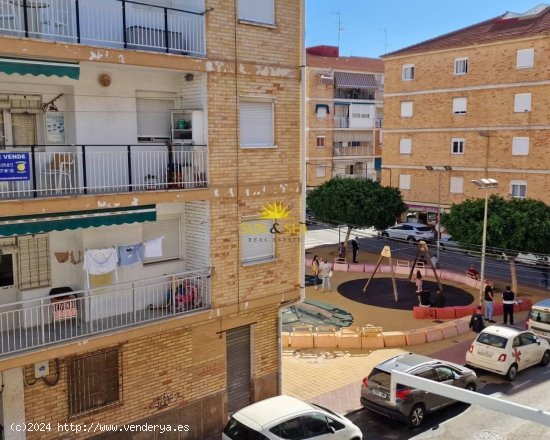 Apartamento en alquiler en Torrevieja (Alicante)