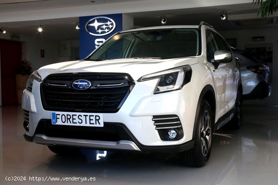  Subaru Forester 2.0i Hybrid CVT Executive 4 x4 MOTOR BOXER - Ourense 