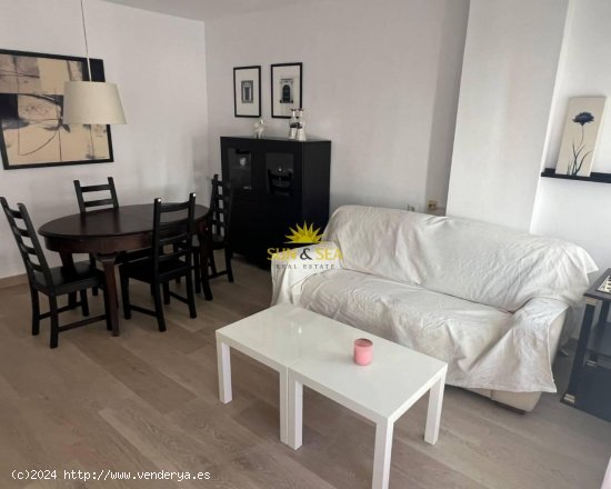 Apartamento en alquiler en Alicante (Alicante)