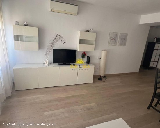 Apartamento en alquiler en Alicante (Alicante)