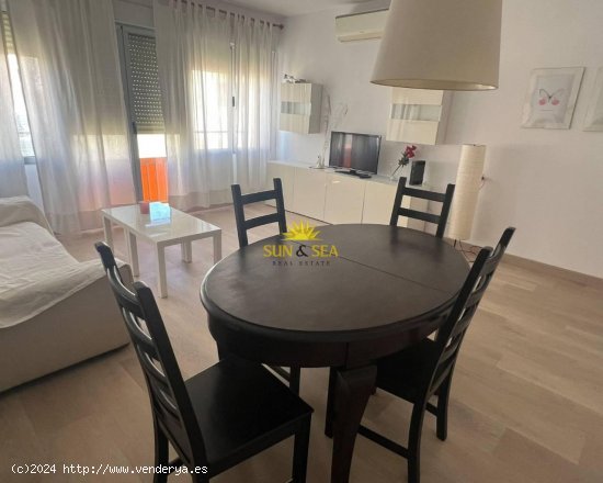 Apartamento en alquiler en Alicante (Alicante)