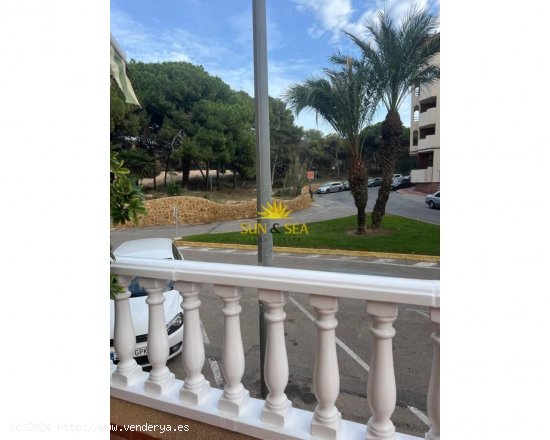 Apartamento en alquiler en Guardamar del Segura (Alicante)