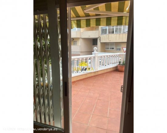 Apartamento en alquiler en Guardamar del Segura (Alicante)