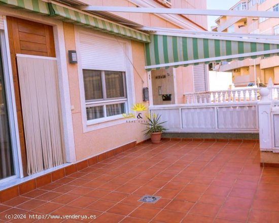 Apartamento en alquiler en Guardamar del Segura (Alicante)