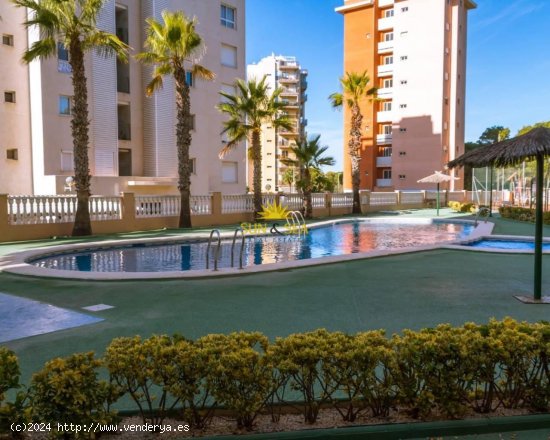 Apartamento en alquiler en Guardamar del Segura (Alicante)