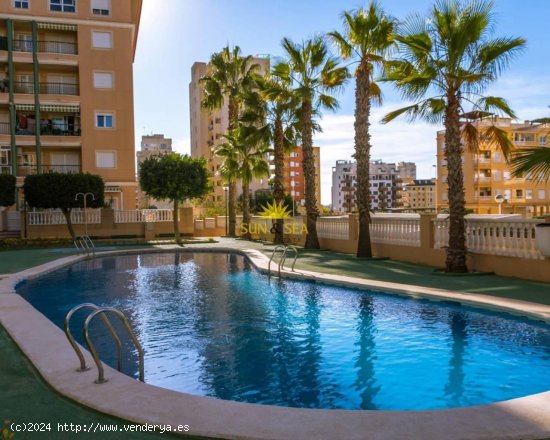 Apartamento en alquiler en Guardamar del Segura (Alicante)