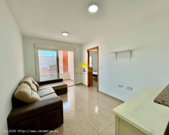 Apartamento en alquiler en Torrevieja (Alicante)