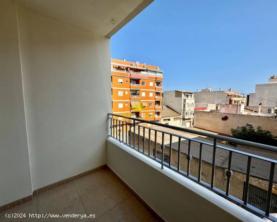 Apartamento en alquiler en Torrevieja (Alicante)