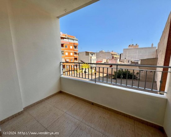 Apartamento en alquiler en Torrevieja (Alicante)