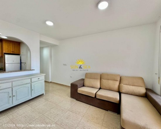 Apartamento en alquiler en Torrevieja (Alicante)