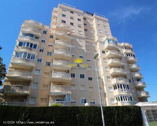 Apartamento en alquiler en Torrevieja (Alicante)