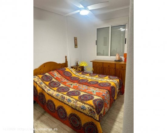 Apartamento en alquiler en Torrevieja (Alicante)