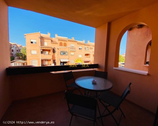 Apartamento en alquiler en Torrevieja (Alicante)