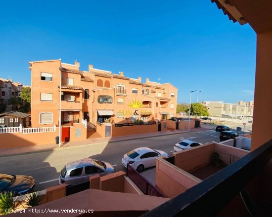 Apartamento en alquiler en Torrevieja (Alicante)