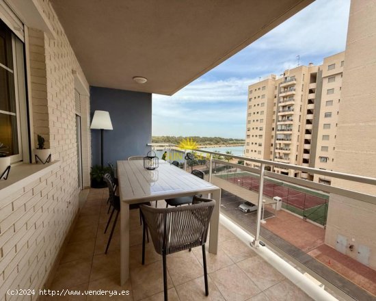 Apartamento en alquiler en Guardamar del Segura (Alicante)