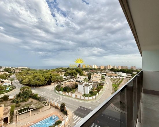 Apartamento en alquiler en Orihuela (Alicante)