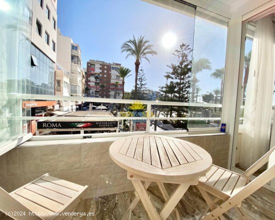 Apartamento en alquiler en Torrevieja (Alicante)