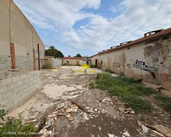 Parcela en alquiler en Orihuela (Alicante)