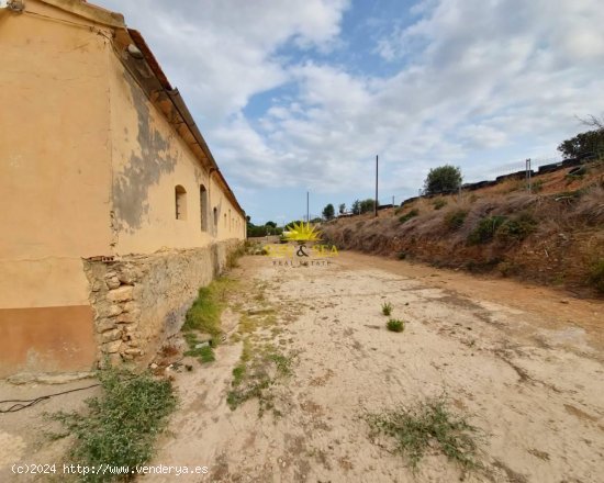 Parcela en alquiler en Orihuela (Alicante)