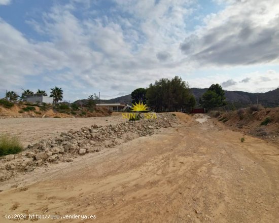 Parcela en alquiler en Orihuela (Alicante)