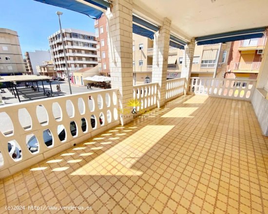 Apartamento en alquiler en Guardamar del Segura (Alicante)