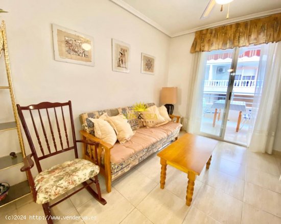 Apartamento en alquiler en Guardamar del Segura (Alicante)