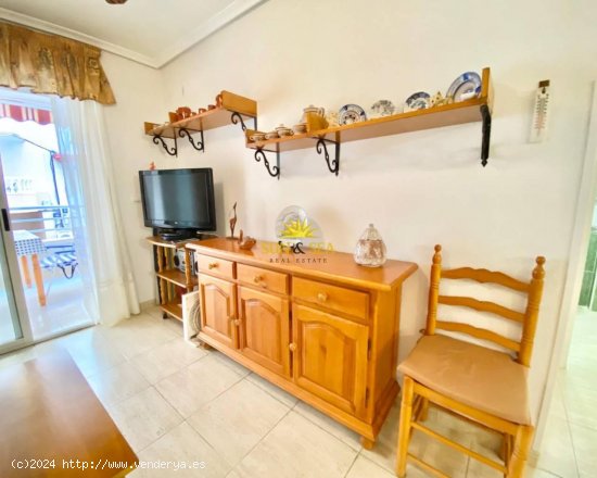 Apartamento en alquiler en Guardamar del Segura (Alicante)